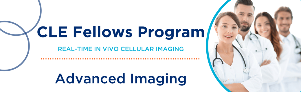 CLE Fellows Program